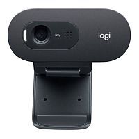 Эскиз Веб-камера Logitech C505e (960-001372)
