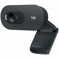 Эскиз Веб-камера Logitech C505e HD (L960-001372)