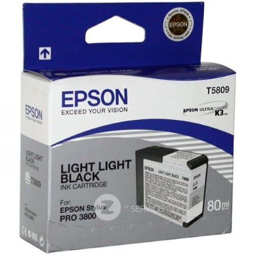 Картридж струйный EPSON T5809, светло-серый, 80 мл., для Stylus Pro 3800 (C13T580900)