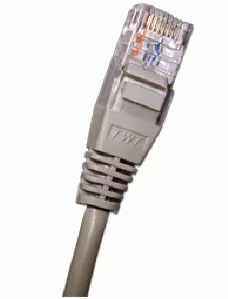 Патч-корд 2-х парный TWT UTP кат.5e, с заливными колпачками, 1.0 м, серый (TWT2-45-45-1.0-GY)