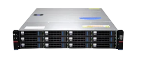 Серверный корпус/ Gooxi RMC2112-670-HS-D 2U 12bay chassis ,direct backplane, rear 2*2.5SAS/ SATA, 1300W 1+1, EU power cables, rail kit (0.81.402.0006)