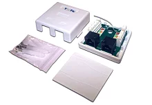 Настенная розетка, 2 порта RJ-45 категории 6, STP, белая (TWT-SM2-4545/ S6-WH) (TWT-SM2-4545/S6-WH)