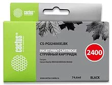 Картинка cs-pgi2400xlbk