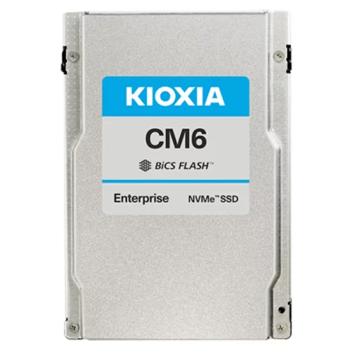 Жесткий диск Infortrend Kioxia, U.3 NVMe SSD (HNBKSRP43841-00301) (HNBKSRP43841-00301) *Жесткий диск Infortrend Kioxia, U.3 NVMe SSD, PCIe Gen4, 3.84TB, DWPD=1, with bundle key 3YW (HNBKSRP43841-00301)