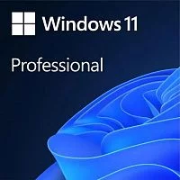 Операционная система Microsoft Windows 11 Professional Конверт OEM (FQC-10547) (FQC-10547_L)