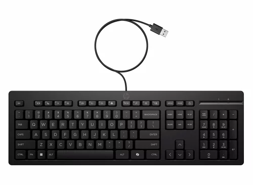 клавиатура проводная Keyboard HP 125 Wired (black) (AY2Y7AA)