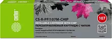 Картинка cs-r-pfi107m-chip