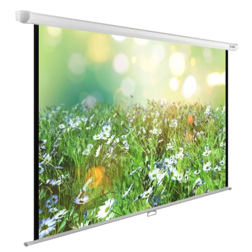Экран Cactus WallExpert CS-PSWE-200x200-WT 200x200 см 1:1 настенно-потолочный рулонный