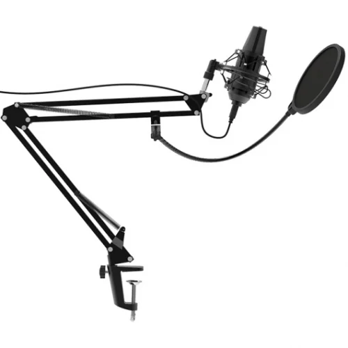 Микрофон проводной Ritmix RDM-180 2.5м черный (80000153) фото 4