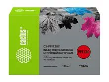 Картинка cs-pfi120y