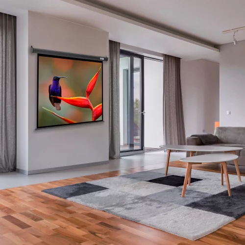 Экран Cactus 102