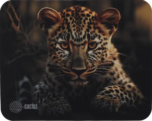 Коврик для мыши Cactus Leopard рисунок 250x200x3мм (CS-MP-D06S)