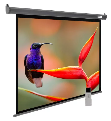 Экран Cactus 102