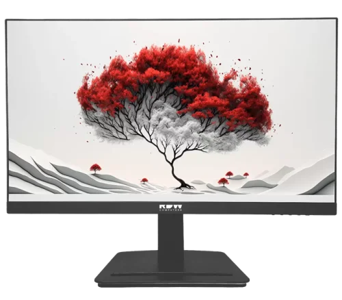 Монитор RDW2401K 1920x1080(FHD) IPS 100Hz 4мс 178°/ 178 250cd-300cd VGA HDMI DP наклон, Внешний БП, Динамики, черный, VESA 100*100, реестр МПТ (2401K/F05B0100V2A1H)