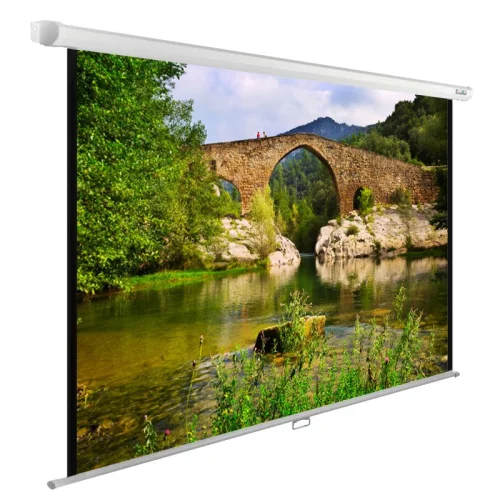 Экран Cactus WallExpert CS-PSWE-220x165-WT 220x165 см 1:1 настенно-потолочный рулонный белый