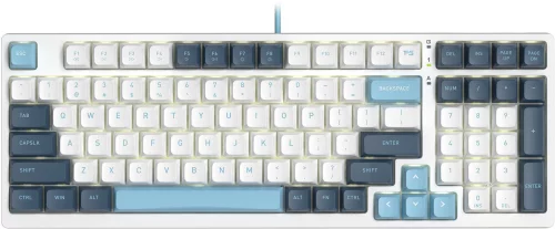 Клавиатура A4Tech Fstyler FS300 механическая белый/ синий USB for gamer LED (FS300 PANDA SNOWBOARDING)