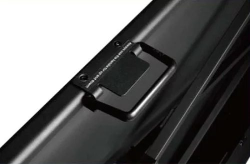 Экран Cactus 81