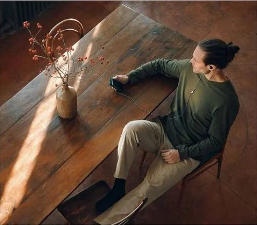 Наушники вкладыши Sennheiser IE 300 1.25м черный проводные крепление за ухом (509104) фото 6