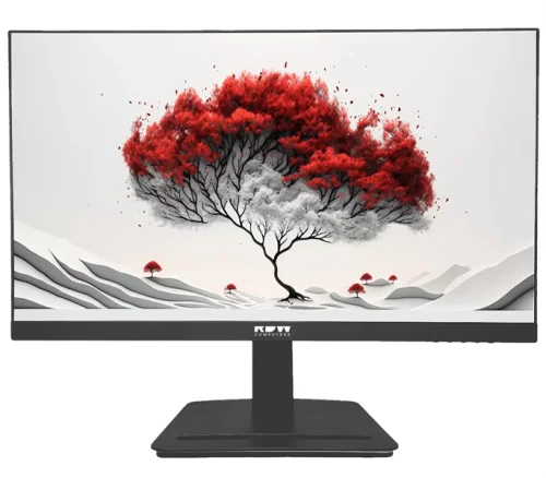 Монитор RDW Computers 23.8 RDW2401K черный IPS 4ms HDMI матовая HAS Piv 350cd 178гр/ 178гр 1920x1080 120Hz VGA DP FHD 4.185кг (RUS) (2401K/F05B3120V2A1B)