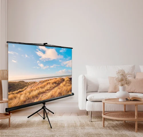 Экран Cactus 180x180см Triscreen CS-PST-180x180 1:1 напольный рулонный черный фото 2