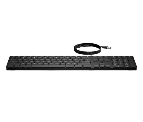 клавиатура проводная Keyboard HP Wired Desktop 320K black (Halley) - RUSS (9SR37UT)