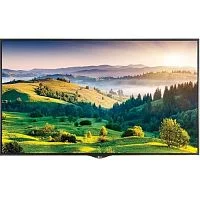 Эскиз Профессиональная панель 49" LG 49XS4J-B  49xs4j