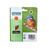 Картинка c13t15974010