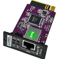 Powerman Карта  SNMP DS801 for UPS (6201988)