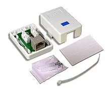 Настенная розетка, 1 порт RJ-45 категории 5е, UTP, белая (TWT-SM1-45-WH)