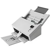 Эскиз Сканер Avision AD230U (000-0864-02G)