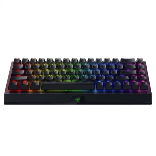 Игровая клавиатура Razer BlackWidow V3 Mini HyperSpeed (Green Switch) - Russian Layout/ Razer BlackWidow V3 Mini HyperSpeed (Green Switch) Gaming keyboard - Russian Layout (RZ03-03891600-R3R1) фото 2