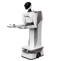 Программно-аппаратный комплекс бренда AgiBot модели G1 (AGIBOT G1)