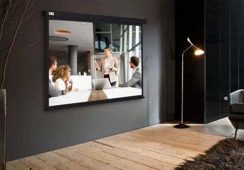 Экран Cactus 135