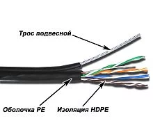 (TWT-5EUTP10-OUT-TR)