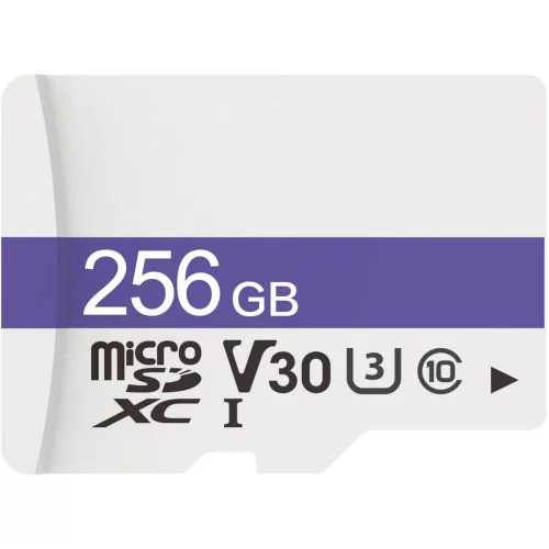 Карта Памяти Dahua DHI-TF-C100/256GB C100 microSD Read 95 MB/s C10/U3/V30 256 GB