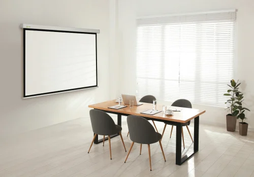 Экран Cactus Wallscreen CS-PSW-150x150 150 x 150см 1:1 настенно-потолочный рулонный белый фото 4