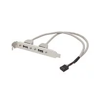 Bion планка портов 2xUSB2.0, 30 см [BXP-MB-2USB]