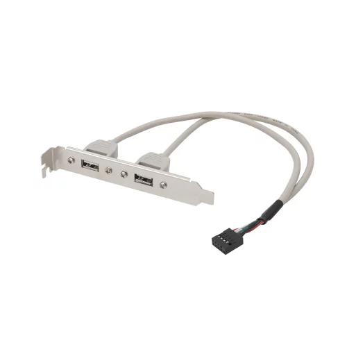 Bion планка портов 2xUSB2.0, 30 см [BXP-MB-2USB]