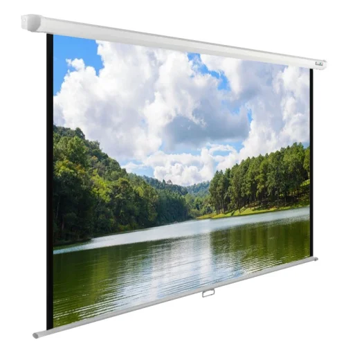 Экран Cactus WallExpert CS-PSWE-240x150-WT 150x240 см 16:10 настенно-потолочный рулонный белый