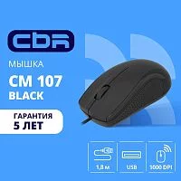 Эскиз 