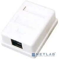 Bion Внешняя сетевая розетка BXP-ENS-C5E-1P-1 RJ-45 cat. 5e, 1 порт, 110&Krone