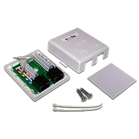 Настенная розетка, 2 порта RJ-45 категории 6, UTP, белая (TWT-SM2-4545/ 6-WH) (TWT-SM2-4545/6-WH)