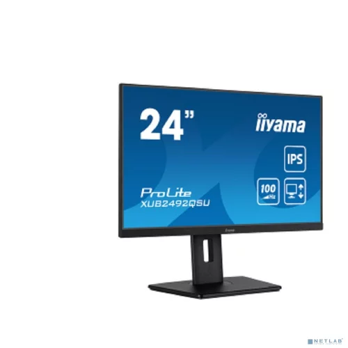 Монитор Iiyama 23.8 ProLite XUB2492QSU-B1 черный IPS LED 0.4ms 16:9 HDMI M/ M матовая HAS Piv 300cd 178гр/ 178гр 2560x1440 100Hz DP Quad HD 2K (1440p) USB 5.9кг