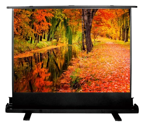 Экран Cactus 98