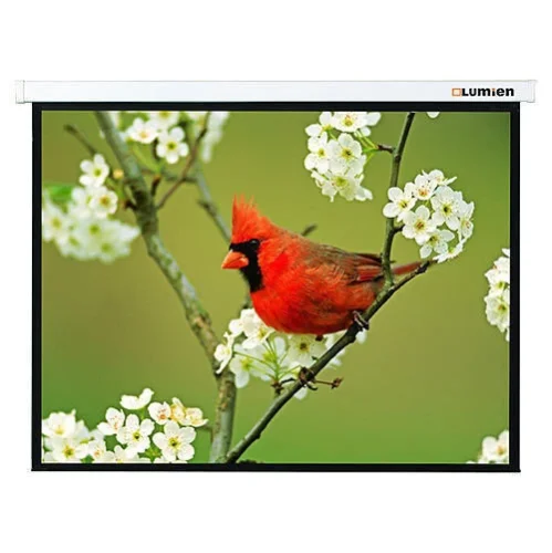Экран Lumien 81 171x128см Master Picture LMP-100108 4:3 настенно-потолочный рулонный белый