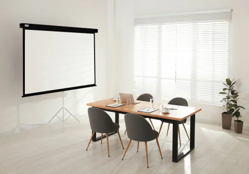 Экран Cactus Wallscreen CS-PSW-149X265-BK 149.4x265.7см 16:9 настенно-потолочный рулонный черный фото 3