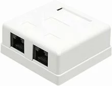 Настенная розетка, 2 порта RJ-45 категории 5е, UTP, белая (TWT-SM2-4545-WH)