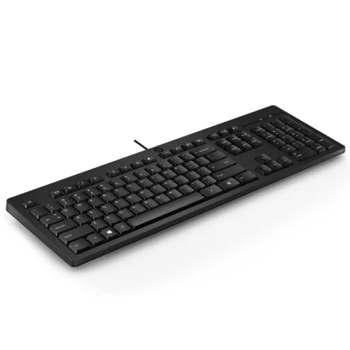 клавиатура Keyboard HP 125 Wired (black) Eng/ China + гравировка RUS (266C9AA_CN)
