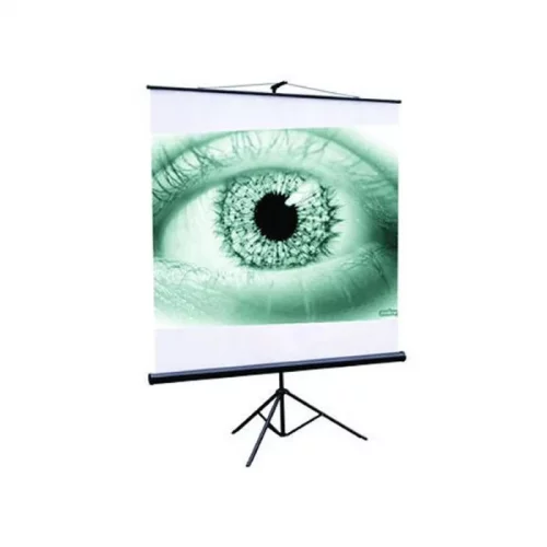 Экран на штативе ScreenMedia Apollo-T 180х180см (STM-1102)