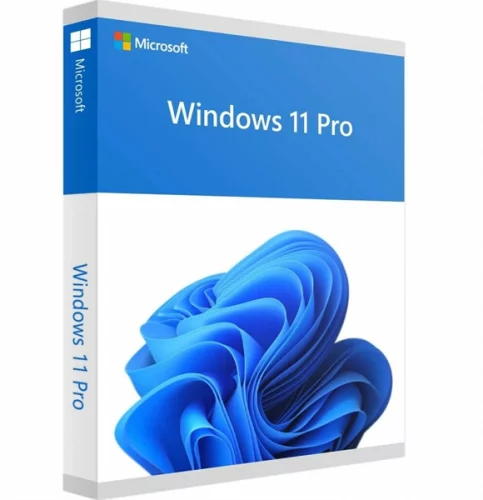 Windows 11 Pro 64Bit Eng Intl 1pk DSP OEI DVD (FQC-10528 IN PACK)